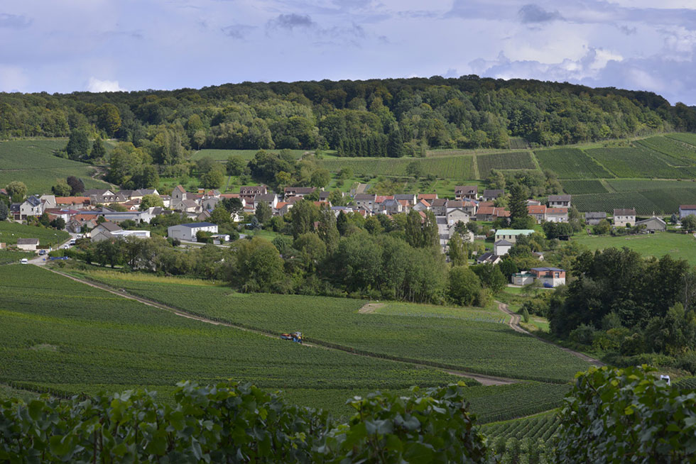 Cormoyeux, vignoble de Champagne